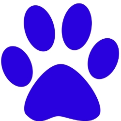 NEHS's Paw Drive